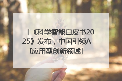 《科学智能白皮书2025》发布，中国引领AI应用型创新领域