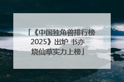 《中国独角兽排行榜2025》出炉 书亦烧仙草实力上榜