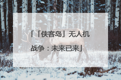 「侠客岛」无人机战争：未来已来