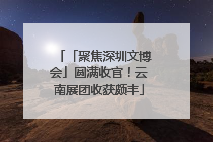 「聚焦深圳文博会」圆满收官！云南展团收获颇丰