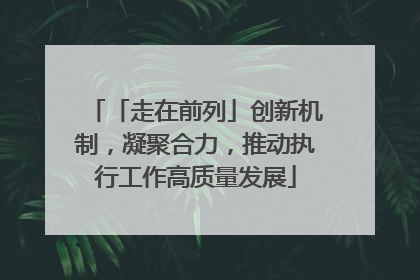 「走在前列」创新机制，凝聚合力，推动执行工作高质量发展