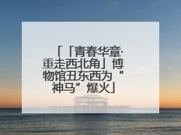 「青春华章·重走西北角」博物馆丑东西为“神马”爆火