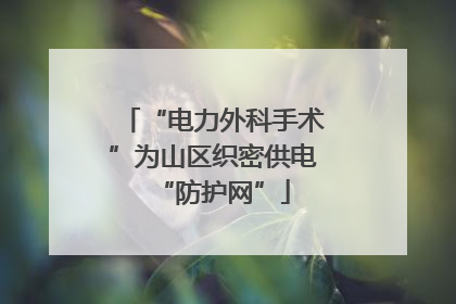“电力外科手术”为山区织密供电“防护网”