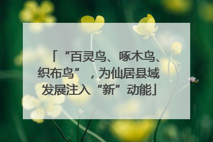 “百灵鸟、啄木鸟、织布鸟”，为仙居县域发展注入“新”动能