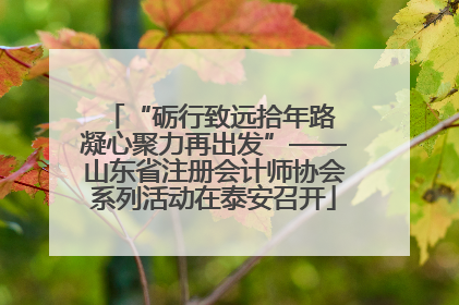 “砺行致远拾年路 凝心聚力再出发”——山东省注册会计师协会系列活动在泰安召开