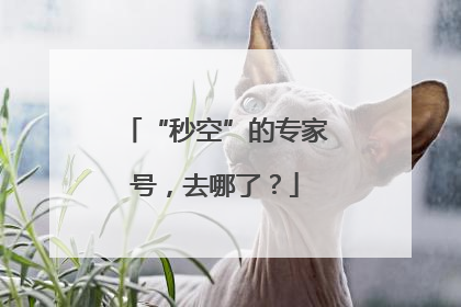“秒空”的专家号，去哪了？
