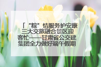 “粽”情服务护安康 三大交旅融合景区迎客忙——甘肃省公交建集团全力做好端午假期景区运营工作