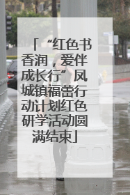 “红色书香润，爱伴成长行”凤城镇福蕾行动计划红色研学活动圆满结束