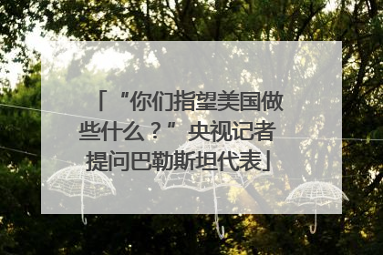 “你们指望美国做些什么？”央视记者提问巴勒斯坦代表