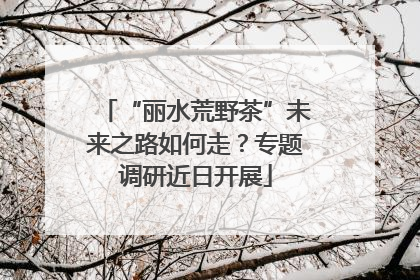 “丽水荒野茶”未来之路如何走？专题调研近日开展