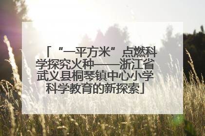 “一平方米”点燃科学探究火种——浙江省武义县桐琴镇中心小学科学教育的新探索