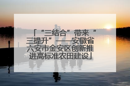 “三结合”带来“三提升”——安徽省六安市金安区创新推进高标准农田建设