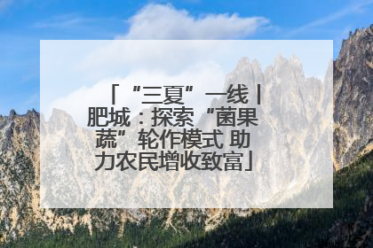 “三夏”一线丨肥城：探索“菌果蔬”轮作模式 助力农民增收致富