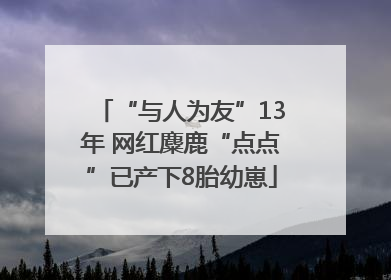 “与人为友”13年 网红麋鹿“点点”已产下8胎幼崽