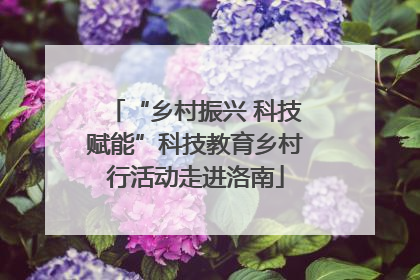 “乡村振兴 科技赋能”科技教育乡村行活动走进洛南