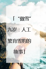 “傲雪”九岁：人工繁育雪豹的故事