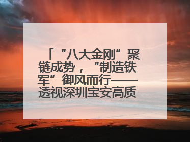 “八大金刚”聚链成势，“制造铁军”御风而行——透视深圳宝安高质量发展新活力