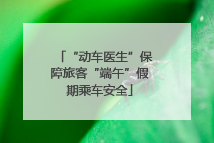 “动车医生”保障旅客“端午”假期乘车安全