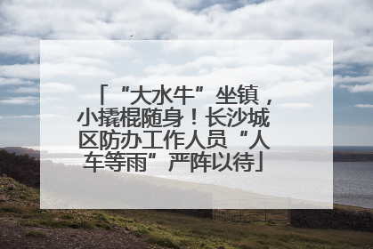 “大水牛”坐镇，小撬棍随身！长沙城区防办工作人员“人车等雨”严阵以待
