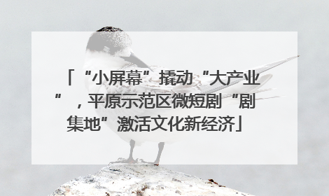 “小屏幕”撬动“大产业”，平原示范区微短剧“剧集地”激活文化新经济