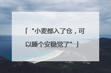 “小麦都入了仓，可以睡个安稳觉了”