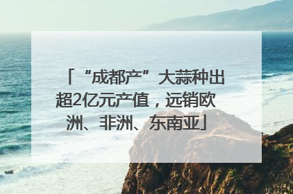 “成都产”大蒜种出超2亿元产值，远销欧洲、非洲、东南亚