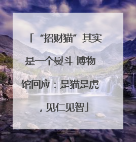 “招财猫”其实是一个熨斗 博物馆回应：是猫是虎，见仁见智