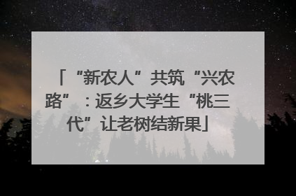 “新农人”共筑“兴农路”：返乡大学生“桃三代”让老树结新果