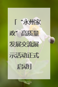“永州家政”高质量发展交流展示活动正式启动