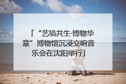 “艺境共生·博物华章”博物馆沉浸交响音乐会在沈阳举行
