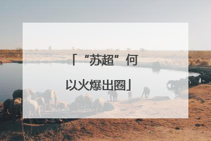 “苏超”何以火爆出圈