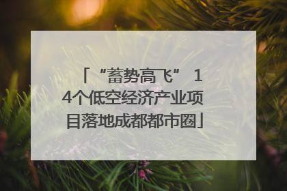 “蓄势高飞” 14个低空经济产业项目落地成都都市圈