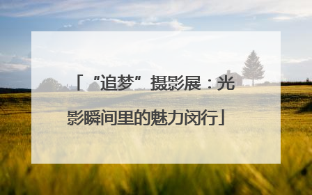“追梦”摄影展：光影瞬间里的魅力闵行
