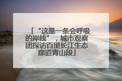 “这是一条会呼吸的岸线”，城市观察团探访百里长江生态廊道青山段