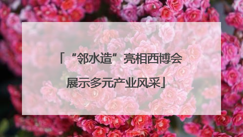 “邻水造”亮相西博会 展示多元产业风采