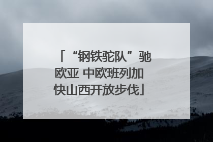 “钢铁驼队”驰欧亚 中欧班列加快山西开放步伐