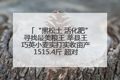 “黑松土 活化肥”寻找最美粮王 莘县王巧英小麦实打实收亩产1515.4斤 超对照田144斤！