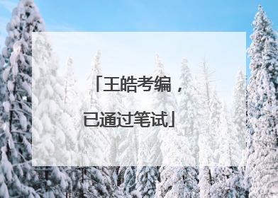 王皓考编，已通过笔试