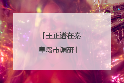 王正谱在秦皇岛市调研
