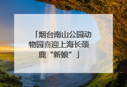 烟台南山公园动物园喜迎上海长颈鹿“新娘”