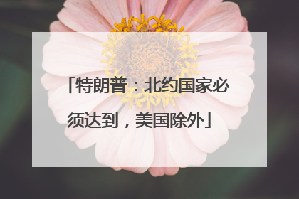 特朗普：北约国家必须达到，美国除外