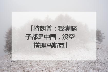 特朗普：我满脑子都是中国，没空搭理马斯克