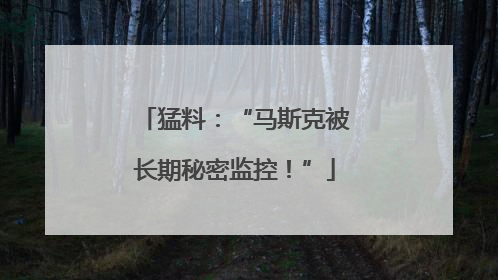 猛料：“马斯克被长期秘密监控！”