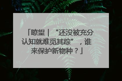 瞭望｜“还没被充分认知就难觅其踪”，谁来保护新物种？
