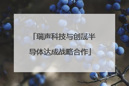 瑞声科技与创晟半导体达成战略合作