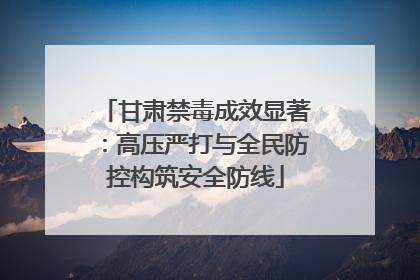 甘肃禁毒成效显著：高压严打与全民防控构筑安全防线