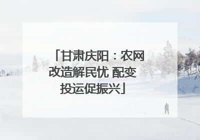 甘肃庆阳：农网改造解民忧 配变投运促振兴