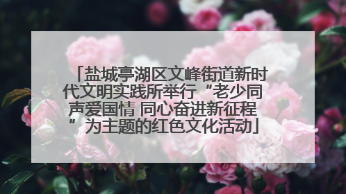 盐城亭湖区文峰街道新时代文明实践所举行“老少同声爱国情 同心奋进新征程”为主题的红色文化活动