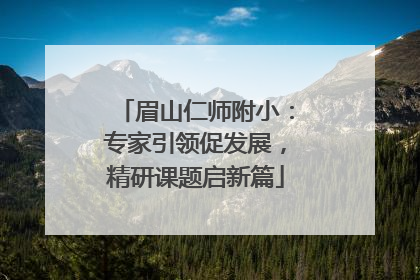 眉山仁师附小：专家引领促发展，精研课题启新篇