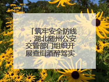 筑牢安全防线，湖北随州公安交管部门组织开展查缉酒醉驾实战演练活动